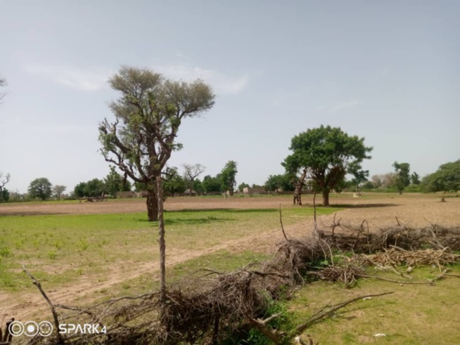 Fatick: Maroutte est malade: Ni eau, ni électricité ni routes praticables... Fatick: Maroutte est malade: Ni eau, ni électricité ni routes praticables...