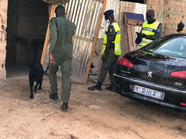 Suite des opérations de la légion-ouest de la gendarmerie : Plusieurs interpellations opérées, hier , à Hann