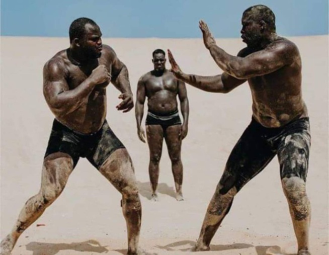 Cachets, avances: Modou Lô ne singe ni Balla ni Eumeu, et avertit Ama Baldé sur les KO de.. Cachets, avances: Modou Lô ne singe ni Balla ni Eumeu, et avertit Ama Baldé sur les KO de..