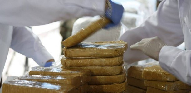 Trafic de cocaïne : Les importateurs de sucre sur le grill, l’État invité à redoubler de vigilance Trafic de cocaïne : Les importateurs de sucre sur le grill, l’État invité à redoubler de vigilance
