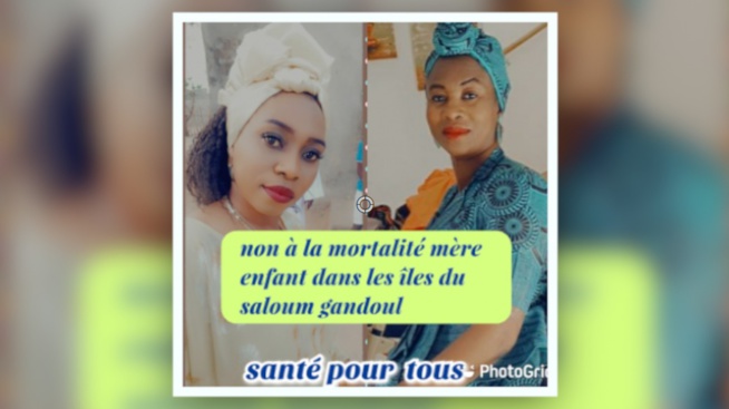 L'association Niomineka Senegalo-Turballais de Bibi le Roux lance le projet pour un district de santé à Fimla