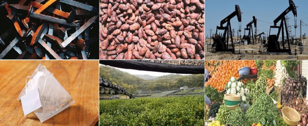 Marché mondial des matières premières : Hausse des prix au de mai 2021 Marché mondial des matières premières : Hausse des prix au de mai 2021