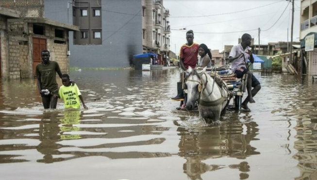 Guy Marius Sagna: « Les membres du gouvernement n’habitent pas dans les quartiers inondés » Guy Marius Sagna: « Les membres du gouvernement n’habitent pas dans les quartiers inondés »