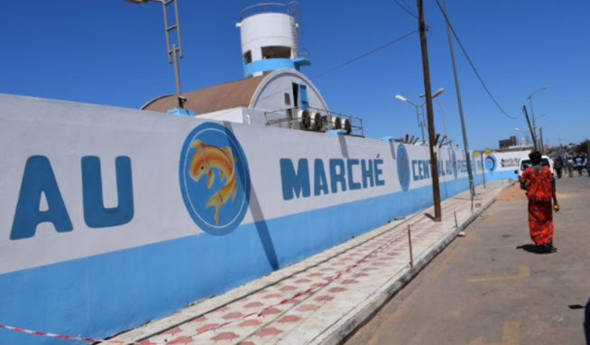 Le Marché au poisson de Pikine en ébullition