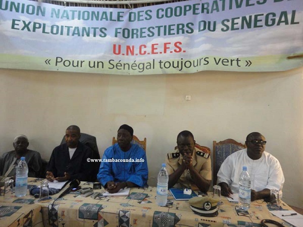 Tambacounda : La colère noire des exploitants forestiers contre le gouverneur