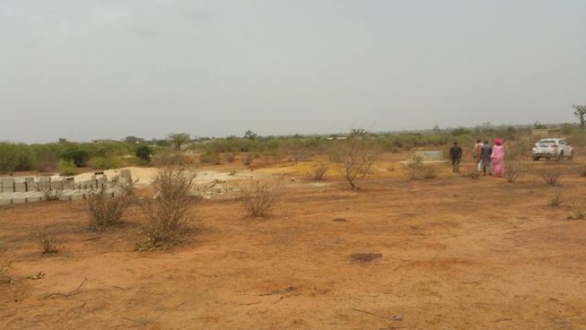 Un réseau de vendeurs de terrains démantelé à Sindia Un réseau de vendeurs de terrains démantelé à Sindia