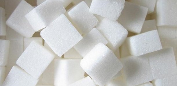 Les révélations de Louis Lamotte sur le sucre :”il y a 20 mille tonnes de sucre…”