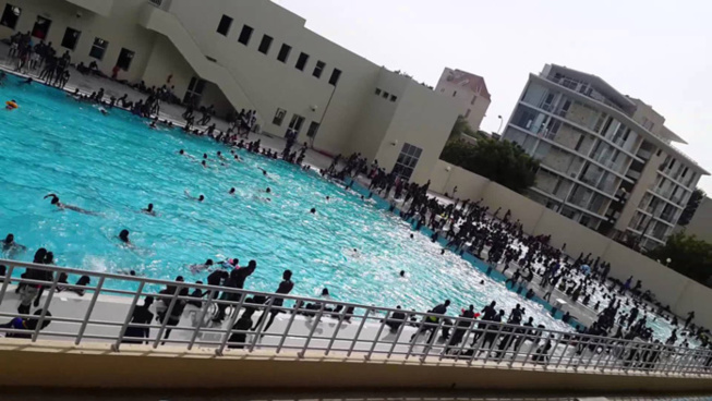 Une fillette de 5 ans meurt noyée à la piscine de l'Olympique club Une fillette de 5 ans meurt noyée à la piscine de l'Olympique club