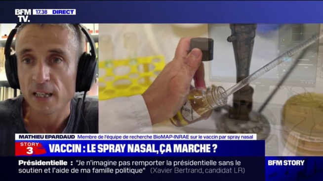 Le vaccin à spray nasal: comment ça marche ? Le vaccin à spray nasal: comment ça marche ?