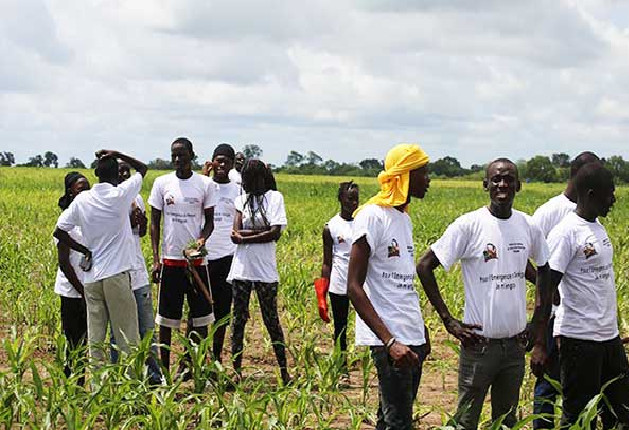 34% des terres du Sénégal dégradées : Leur restauration, des opportunités d’emplois pour les jeunes’ 34% des terres du Sénégal dégradées : Leur restauration, des opportunités d’emplois pour les jeunes’