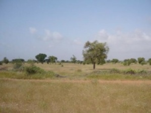 BOLLORE ACCUSÉ DE SPOLIATION SUR 15 HECTARES