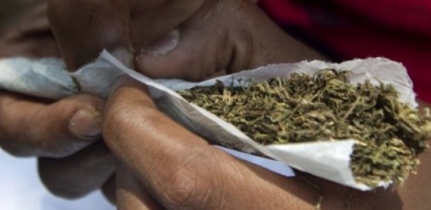 Mass Dia tombe avec 111 cornets de drogue Mass Dia tombe avec 111 cornets de drogue