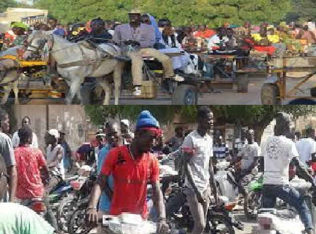 Transport à Touba durant le Magal : Les charretiers et conducteurs de Jakarta se sont frottés les mains Transport à Touba durant le Magal : Les charretiers et conducteurs de Jakarta se sont frottés les mains