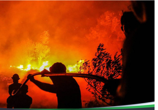 Italie: Un Sénégalais meurt calciné dans un incendie Italie: Un Sénégalais meurt calciné dans un incendie