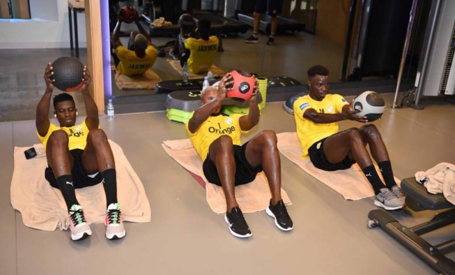 En images, la première séance d’entrainement des Lions