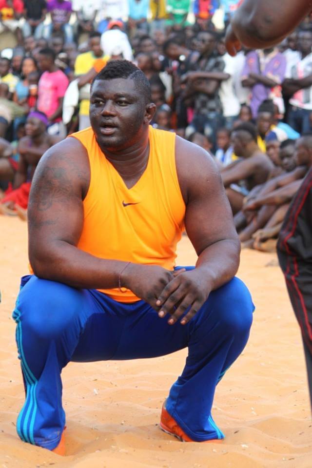 Lutte: Une saison blanche pour Balla Gaye 2 ? Lutte: Une saison blanche pour Balla Gaye 2 ?