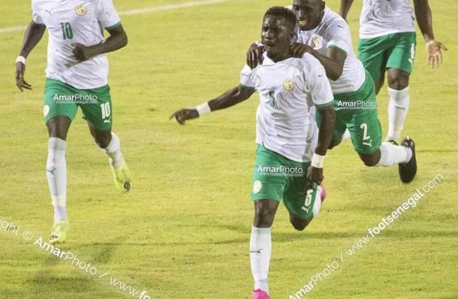 Sénégal Namibie : Les LIONS domptent les Brave Warriors !