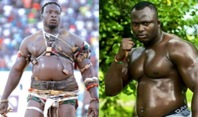 Lutte: Les affiches Ama Baldé-Modou Lô et Tapha Tine-Boy Niang reportées ?