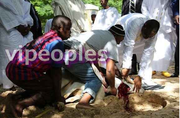 Le Président Macky Sall a égorgé son propre mouton de Tabaski! Le Président Macky Sall a égorgé son propre mouton de Tabaski!