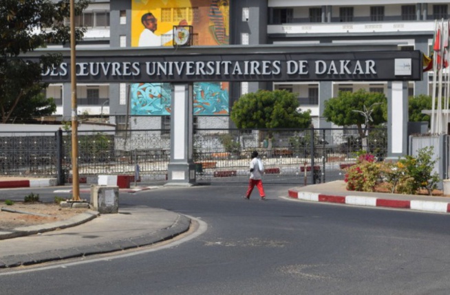 Ucad / Identification des armes blanches: Des appareils détecteurs installés