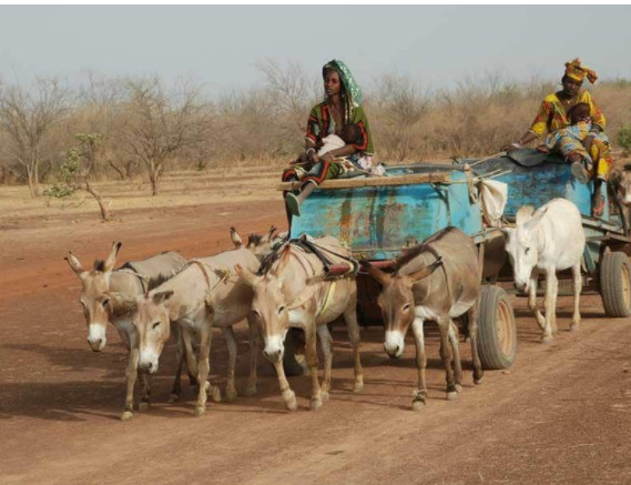 A Thionokh, des femmes accouchent dans des voitures "Wopou yaha", faute d'ambulance !