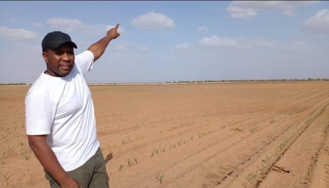 Gendarmes et huissiers à la SEN-TV: La DGID apporte des précisions et propose des solutions... Gendarmes et huissiers à la SEN-TV: La DGID apporte des précisions et propose des solutions...