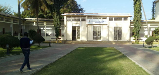 UCAD : l’Amicale des étudiants de la Faculté de Médecine prolonge sa grève de 72 heures UCAD : l’Amicale des étudiants de la Faculté de Médecine prolonge sa grève de 72 heures