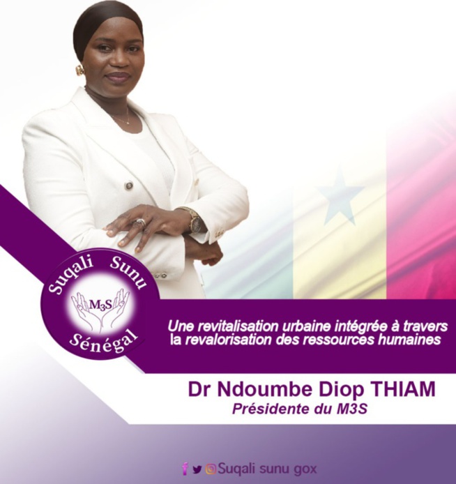 Offre de services publics: Le M3S comme trait d'union entre les populations et les organisations étatiques Offre de services publics: Le M3S comme trait d'union entre les populations et les organisations étatiques