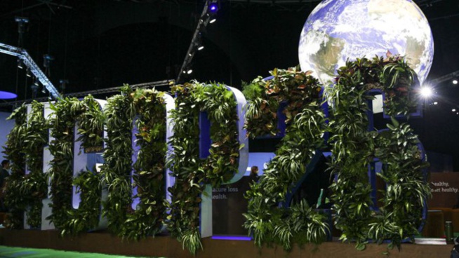 Cop 26 / Environnement: Et Dieu dans tout cela ? Cop 26 / Environnement: Et Dieu dans tout cela ?