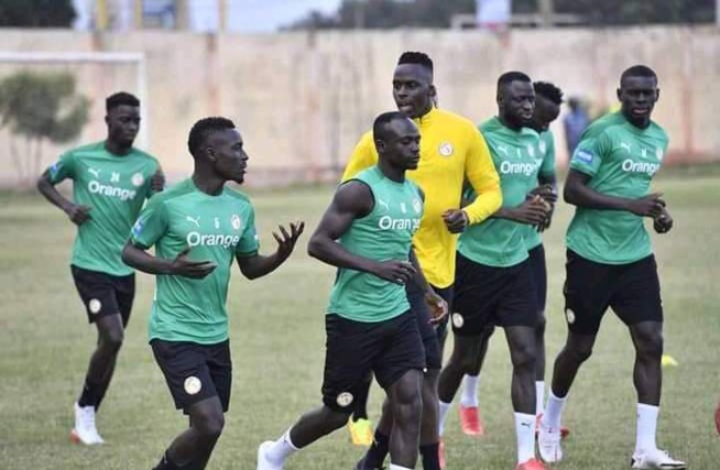 Éliminatoires Mondial 2022: Les LIONS prennent leurs marques à Lomé Éliminatoires Mondial 2022: Les LIONS prennent leurs marques à Lomé