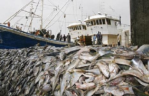 Pêche Inn dans les pays membres de la Csrp : Les pertes estimées à 1,9 milliard d’euros par an