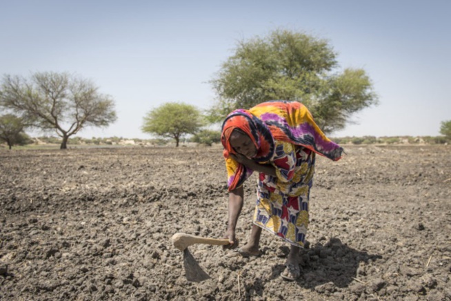 Etats-Unis: Comment Jamra a touché Joe Biden sur le dérèglement climatique