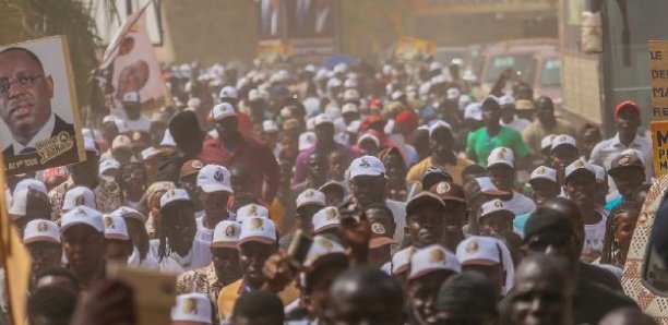 Attaque contre Macky, acte de ´’sabotage’’: Les jeunes de la mouvance présidentielle organisent la riposte