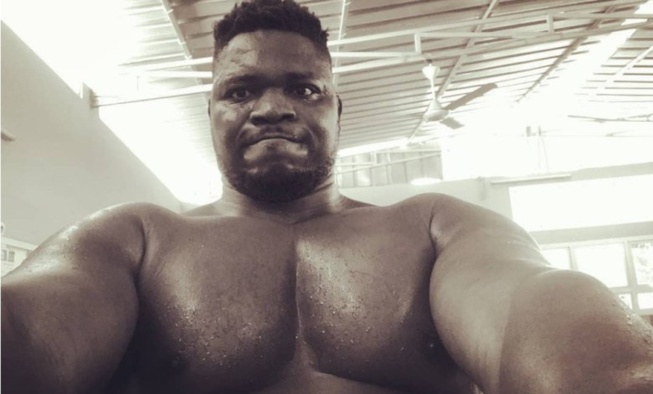 Lutte: Tapha Tine déterminé à corriger Boy Niang 2 Lutte: Tapha Tine déterminé à corriger Boy Niang 2