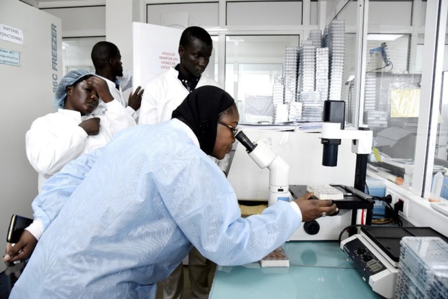 Covid-19 Au Sénégal : 01 Nouveau Cas Positif, Aucun Décès, 06 Patients Sous Traitement Covid-19 Au Sénégal : 01 Nouveau Cas Positif, Aucun Décès, 06 Patients Sous Traitement