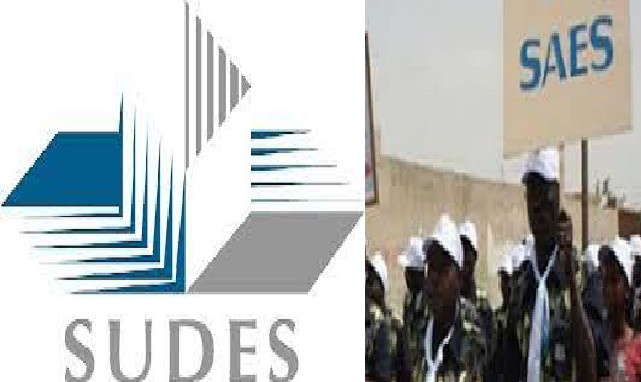 Crise à l’institut de français pour les étudiants étrangers de L’UCAD : le Sudes et le SAES se tirent dessus Crise à l’institut de français pour les étudiants étrangers de L’UCAD : le Sudes et le SAES se tirent dessus