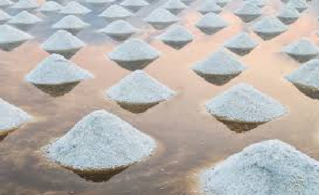 Valorisation de l’or blanc dans le Saloum : Vers une plateforme de commercialisation de sel iodé de qualité