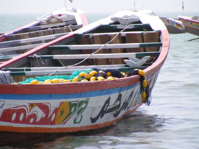 Immigration clandestine : 1500 tentatives de départ déjouées, plus de 2300 arrestations Immigration clandestine : 1500 tentatives de départ déjouées, plus de 2300 arrestations