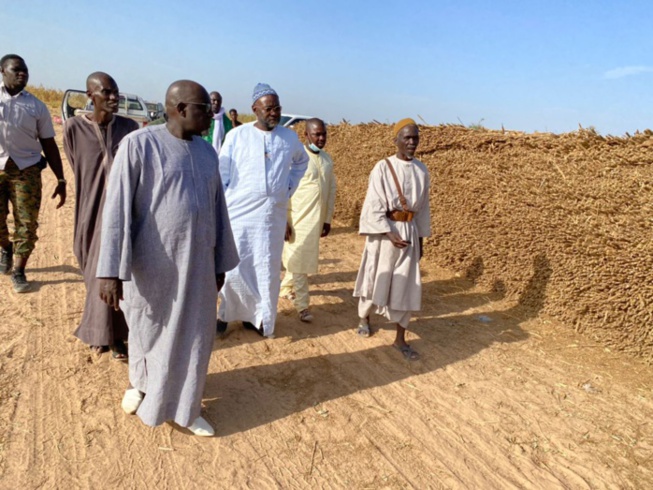 PHOTOS+VIDEO: Travaux champêtres accomplis avec la satisfaction de Serigne Cheikh Saliou Mbacké PHOTOS+VIDEO: Travaux champêtres accomplis avec la satisfaction de Serigne Cheikh Saliou Mbacké