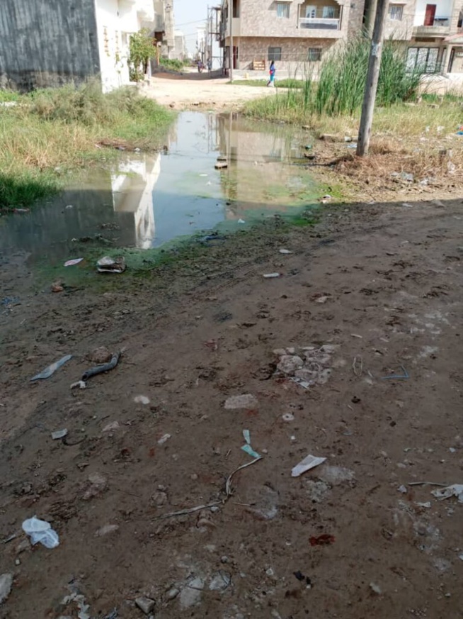 Keur Massar : Cri de cœur des habitants des P.A unité 4, la Sen’Eau indexée Keur Massar : Cri de cœur des habitants des P.A unité 4, la Sen’Eau indexée