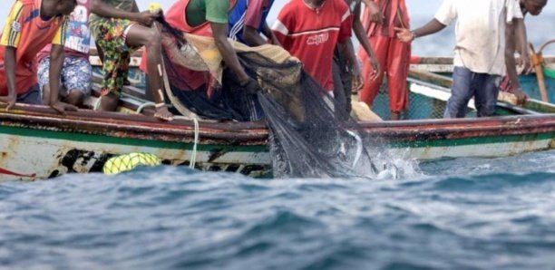 Laissés en rade : L’intersyndicale des travailleurs de la pêche annonce une grève Laissés en rade : L’intersyndicale des travailleurs de la pêche annonce une grève