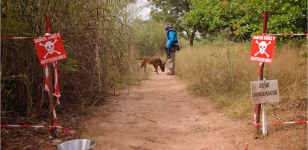 Des opérations de sécurisation en cours dans la région de Ziguinchor (armées)