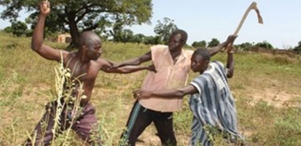 Bataille rangée entre cultivateurs et éleveurs : Des blessés et une dizaine de personnes arrêtées par la gendarmerie de Kaël Bataille rangée entre cultivateurs et éleveurs : Des blessés et une dizaine de personnes arrêtées par la gendarmerie de Kaël