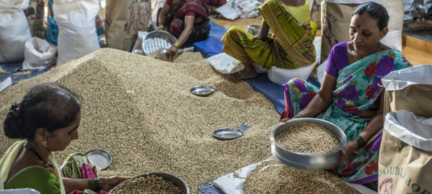 44 pays dont 33 en Afrique ont besoin d’une aide extérieure pour couvrir leurs besoins alimentaires (Fao) 44 pays dont 33 en Afrique ont besoin d’une aide extérieure pour couvrir leurs besoins alimentaires (Fao)