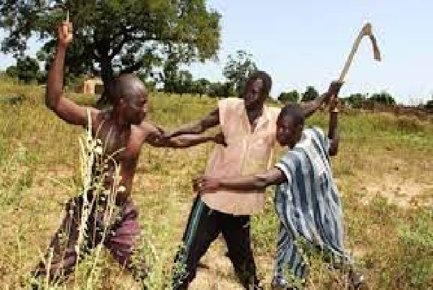 Pour la diminution des violences entre éleveurs et agriculteurs : un CDD spécial sur la réglementation du parcours du bétail tenu à Diourbel Pour la diminution des violences entre éleveurs et agriculteurs : un CDD spécial sur la réglementation du parcours du bétail tenu à Diourbel