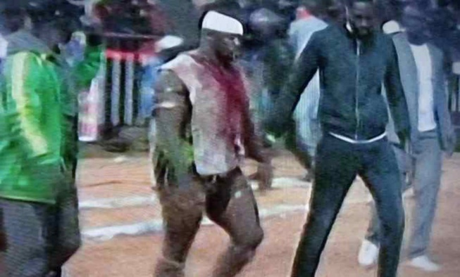 SITEU VS PAPA SOW : LE SANG GACHE LA FÊTE SITEU VS PAPA SOW : LE SANG GACHE LA FÊTE