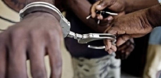 Mbacké : Pour mauvaise gestion d'un poulailler, il tue son condisciple Mbacké : Pour mauvaise gestion d'un poulailler, il tue son condisciple