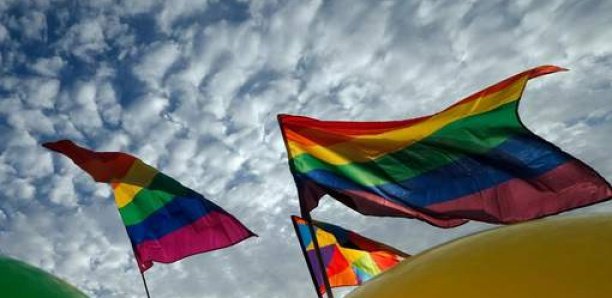Le Sénat français se prononce largement contre les "thérapies de conversion" des personnes LGBT Le Sénat français se prononce largement contre les "thérapies de conversion" des personnes LGBT