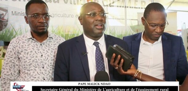 Agriculture : 36 milliards F CFA dédiés aux travaux pour la valorisation des eaux de surface et des eaux souterraines Agriculture : 36 milliards F CFA dédiés aux travaux pour la valorisation des eaux de surface et des eaux souterraines