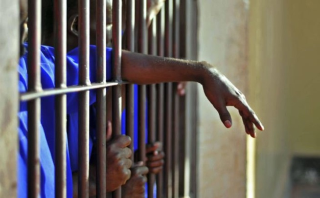 Linguère : Un vendeur en pharmacie emprisonné pour avoir aidé une mineure à avorter Linguère : Un vendeur en pharmacie emprisonné pour avoir aidé une mineure à avorter